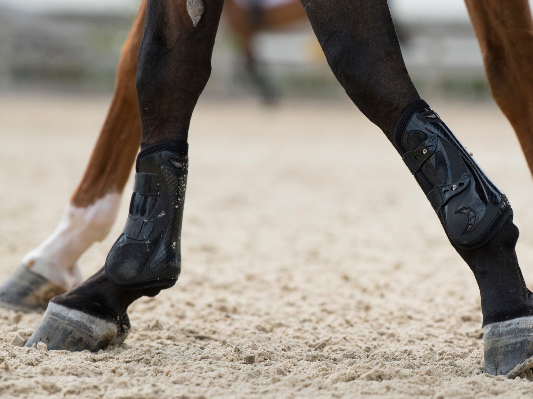Healthy hooves need more than a supplement